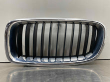 Load image into Gallery viewer, Grille BMW 320I 2017 - NW98058
