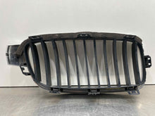 Load image into Gallery viewer, Grille BMW 320I 2017 - NW98058