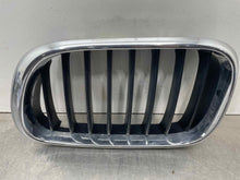 Load image into Gallery viewer, GRILL BMW X5 2000 00 2001 01 02 03 Upper Left - NW98311