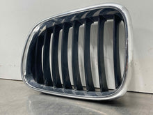 Load image into Gallery viewer, GRILL BMW X5 2000 00 2001 01 02 03 Upper Left - NW98311