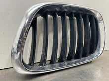 Load image into Gallery viewer, GRILL BMW X5 2000 00 2001 01 02 03 Upper Left - NW98311