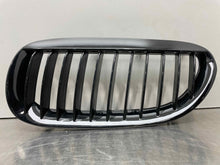 Load image into Gallery viewer, GRILLE BMW 645ci 650i M6 04 05 06 07 08 09 10 Left - NW98231