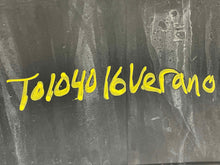 Load image into Gallery viewer, GRILLE Verano 2012 12 2013 13 2014 14 2015 15 2016 16 2017 17 - NW488668