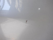 Load image into Gallery viewer, FRONT DOOR Acura RDX 2007 07 2008 08 2009 09 10 11 12 Right - 1306555