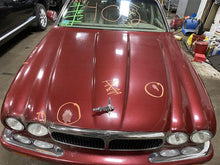 Load image into Gallery viewer, Seat Belt Jaguar XJ8 2000 00 2001 01 2002 02 2003 03 Passenger - 1103395