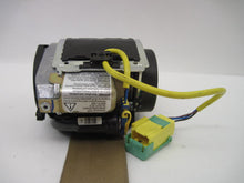 Load image into Gallery viewer, Seat Belt Volkswagen Touareg 2004 04 2005 05 2006 06 2007 07 Passenger - 738730