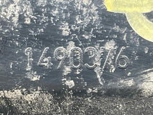 Load image into Gallery viewer, GRILLE Mini Cooper 2002 02 2003 03 2004 04 Hood Mounted - NW98240