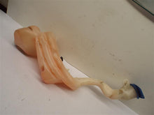 Load image into Gallery viewer, WASHER BOTTLE Volkswagen Beetle 2000 00 2001 01 2002 02 2003 03 2004 04 2005 05 - MRK210134