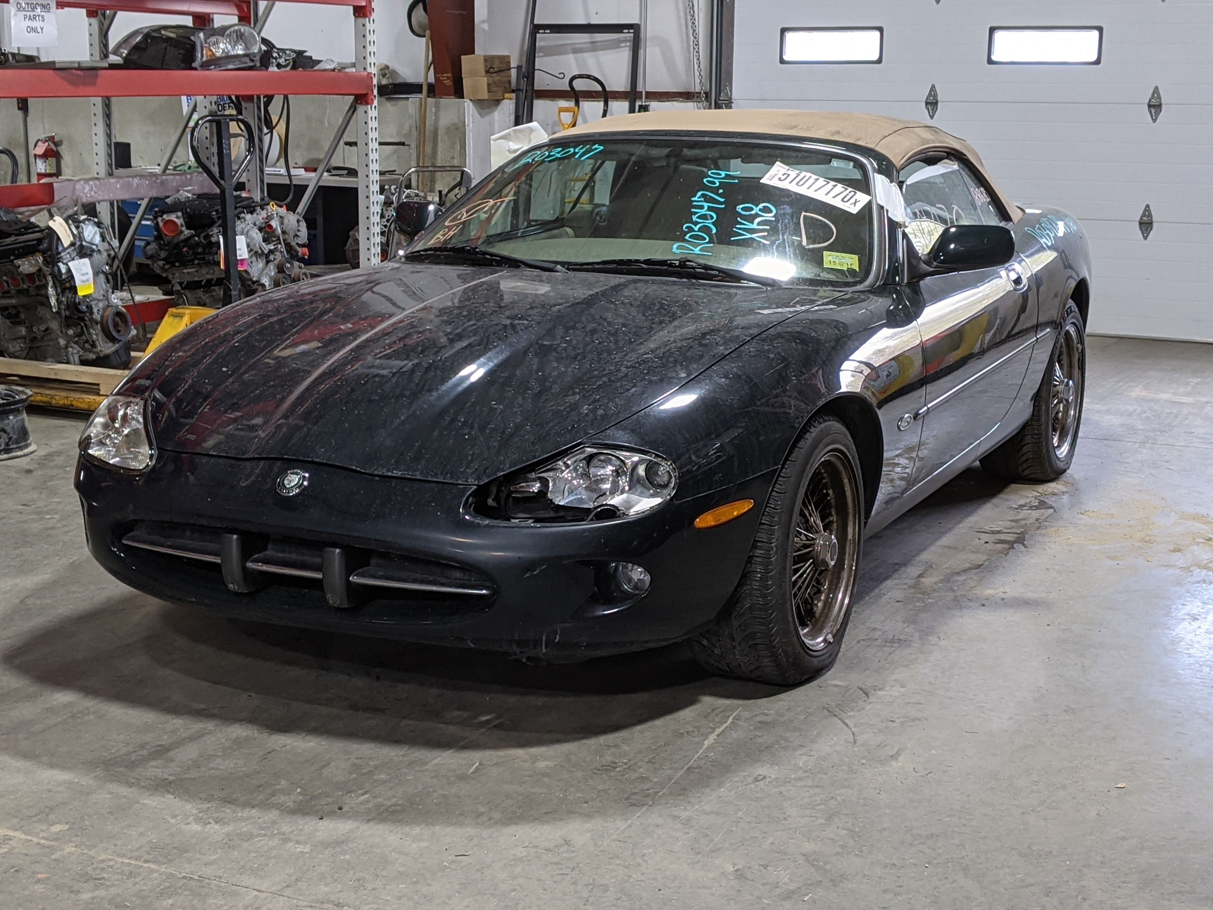 Glove Box Door Jaguar XK8 1999 NW296765 Tom's Foreign Auto Parts