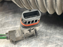 Load image into Gallery viewer, STRUT Mercedes CL55 S430 S500 CL500 2000 00 01 02 03 - NW364781
