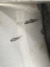 Load image into Gallery viewer, WHEEL RIM 320i 328D 328i 328I GT 335i 335i GT 428i 12-16 18x8 ALLOY - NW697185

