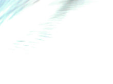 Load image into Gallery viewer, FRONT DOOR Murano Murano Cross Cabriolet 15 16 17 18 19 20 Left - 1358775

