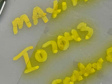 Load image into Gallery viewer, SEAT MEMORY COMPUTER Maxima 2004 04 2005 05 2006 06 - NW31758
