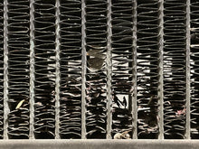 Load image into Gallery viewer, Radiator  MERCEDES 240D 1983 - NW132441
