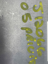 Load image into Gallery viewer, HYBRID VEHICLE CONTROL COMPUTER Prius 2005 05 2006 06 - NW38331

