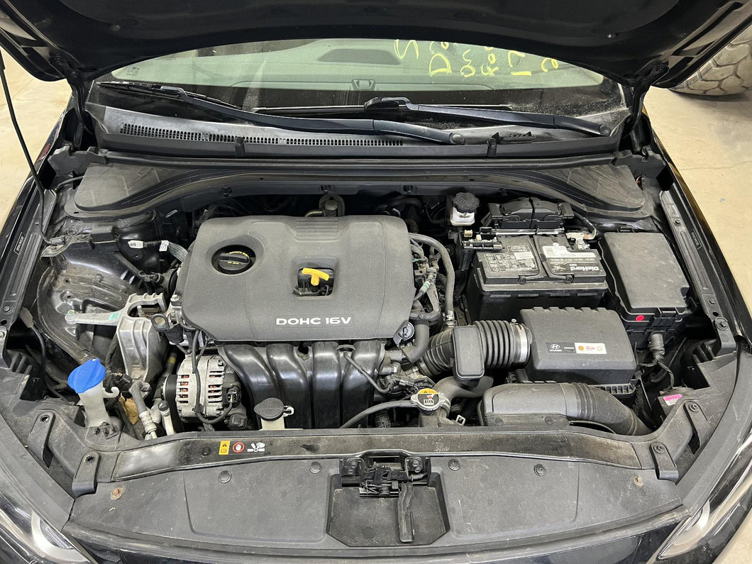 ENGINE MOTOR Hyundai Elantra 2017 17 2018 18 2.0L VIN F - DG125116