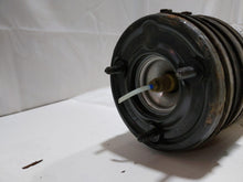 Load image into Gallery viewer, Strut S430 S500 2000 00 2001 01 02 03 04 05 06 Rear - NW173750
