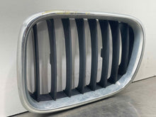 Load image into Gallery viewer, GRILL BMW X5 2000 00 2001 01 02 03 Upper Left - NW98312
