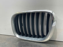 Load image into Gallery viewer, GRILL BMW X5 2000 00 2001 01 02 03 Upper Left - NW98312
