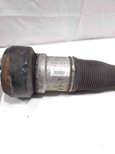 Load image into Gallery viewer, REAR STRUT SHOCK CL550 CL600 CL63 CL65 S350 S400 S450 07-14 AWD Left - NW173633
