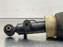 Load image into Gallery viewer, Strut Audi Allroad 01 02 03 04 05 Rear Right - NW172084
