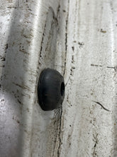 Load image into Gallery viewer, WHEEL BMW X5 2002 02 2003 03 2004 04 2005 05 2006 06 17x7.5 10 Spoke - NW406256
