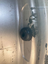 Load image into Gallery viewer, Wheel Rim  MERCEDES E-CLASS 2003 - NW200137
