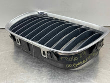 Load image into Gallery viewer, GRILLE BMW 528i 540i 1997 97 1998 98 1999 99 2000 00 Upper Left - NW98181
