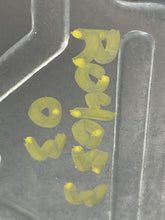 Load image into Gallery viewer, Air Bag computer Audi A4 S4 2002 02 2003 03 2004 04 - NW305662
