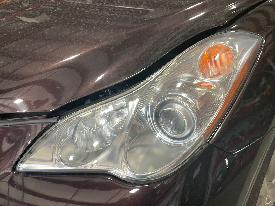 Headlight Lamp Assembly  INFINITI EX35 2008 - NW433751