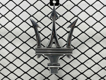 Load image into Gallery viewer, Grille   2007 - NW446040
