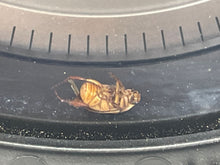 Load image into Gallery viewer, SPEEDOMETER CLUSTER Mercedes-Benz C250 C300 C350 C63 2012 12 - NW446212
