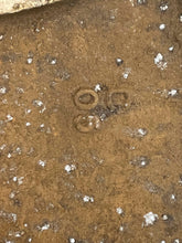 Load image into Gallery viewer, Wheel Pathfinder 2005 05 16x7 5 Spoke - NW462248
