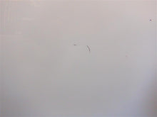 Load image into Gallery viewer, REAR DOOR C250 C300 C350 C43 C63 15 16 17 18 19 20 Right - 1317829
