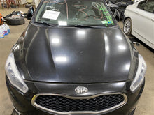 Load image into Gallery viewer, RADIO ANTENNA Kia Cadenza 2014 14 - 1119859
