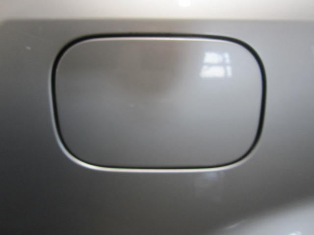 FUEL FILLER DOOR 2002 02 Audi A4 - 702922