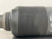 Load image into Gallery viewer, REAR STRUT SHOCK CL500 CL55 CL600 CL65 S350 S430 S500 S55 01-06 Right - NW173429
