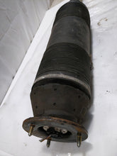 Load image into Gallery viewer, REAR STRUT SHOCK CL500 CL55 CL600 CL65 S350 S430 S500 S55 01-06 Right - NW173429
