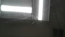 Load image into Gallery viewer, RADIO C230 C300 C350 C63 CL550 CL600 CL63 CL65 CLS550 CLS63 07-10 - MM2113797
