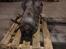 Load image into Gallery viewer, TRANSMISSION 300 Challenger Charger 12 13 14 RWD - MM2614971
