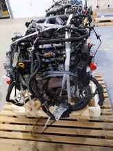 Load image into Gallery viewer, CV AXLE SHAFT Murano 2009 09 2010 10 2011 11 12 13 Rear - NW312646
